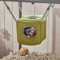 Frisco Forest Plush Small Pet Hanging Cube, Green
