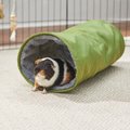 Frisco Forest Crinkle Plush Small Pet Tunnel, Green
