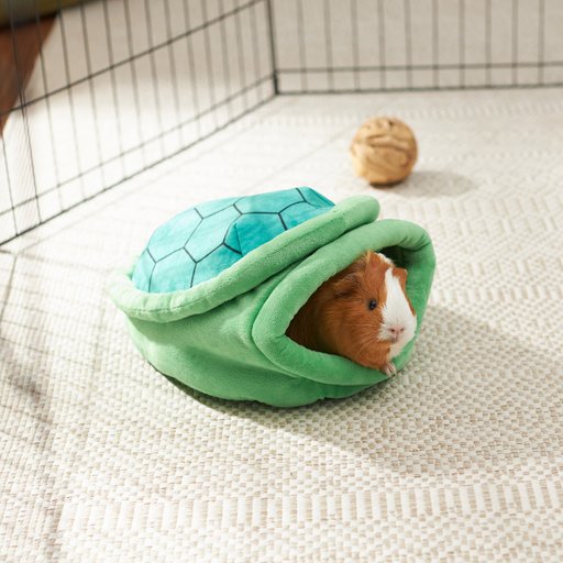 Frisco Turtle  Small Pet Cave, Green