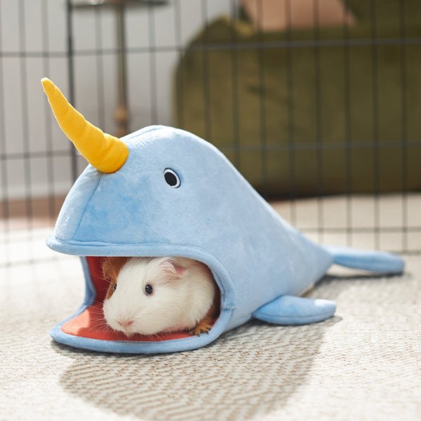 Frisco Narwhal Small Pet Cave, Blue slide 1 of 5