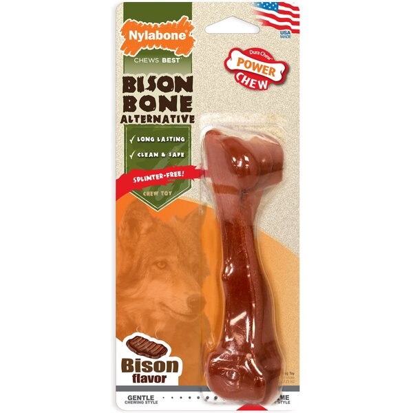Nylabone Power Chew Shish Kabob Alternative Nylon Dog Chew Toy