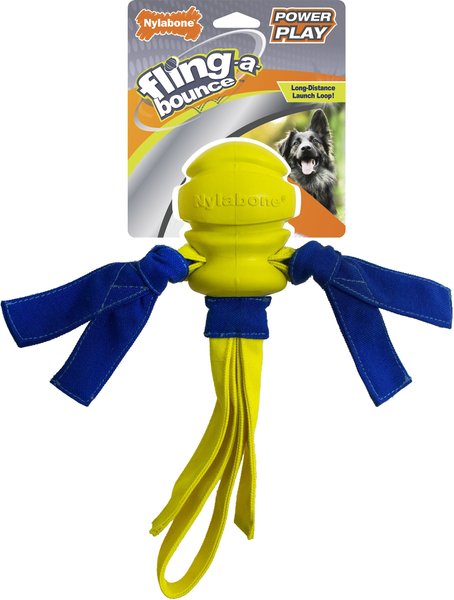 Discontinued - NYLABONE Power Play Fling-a-Bounce Dog Fetch Toy, Large ...