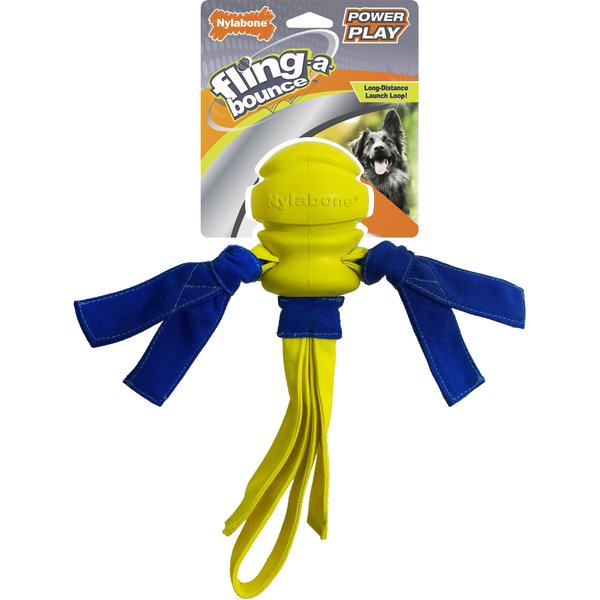 Four Paws Crunch & Crackle Bone Tug Dog Toy