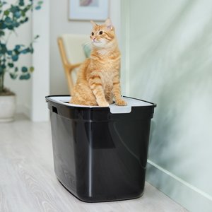 Frisco Top Entry Cat Litter Box, Extra Large, Black, 23-in
