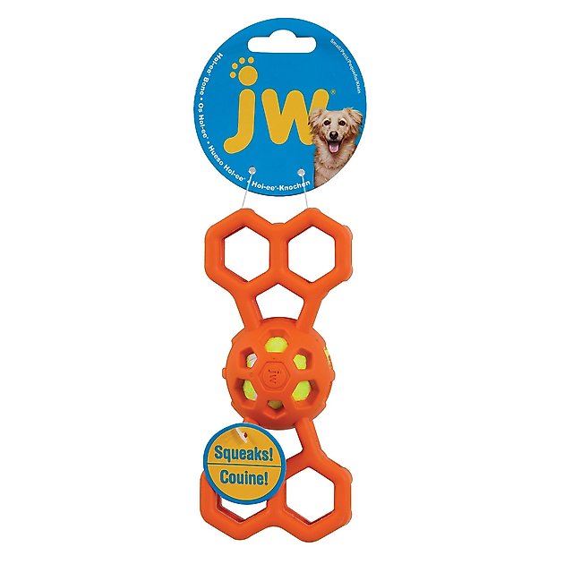 JW PET Hol-ee Squeaky Bone Dog Toy, Color Varies, Small - Chewy.com