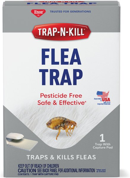 ENOZ Trap-N-Kill Flea Trap, 1 count slide 1 of 2