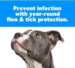 ENOZ Trap-N-Kill Flea Trap Refill, 3 count slide 2 of 2