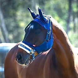 Horze Equestrian Cayman Horse Fly Mask, Blue, Small