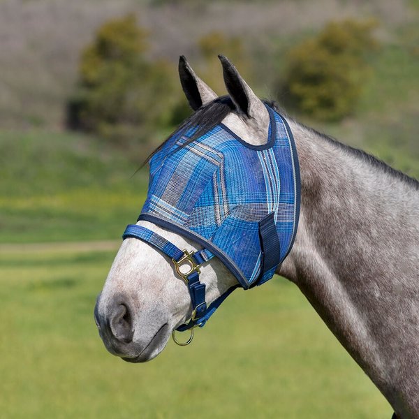 Guide pratique : Choisir la couverture idéale pour votre cheval
