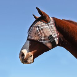 Kensington Protective Products Signature Fly Horse Mask, Deluxe Black, Small