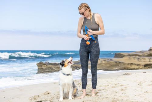 Show full view: Chuckit! Fetch & Fold Launcher Dog Toy slide 7 of 10