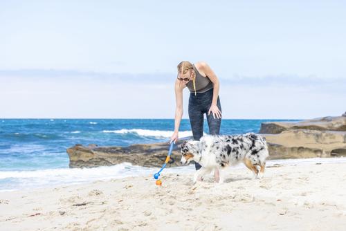 Show full view: Chuckit! Fetch & Fold Launcher Dog Toy slide 8 of 10