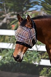 Kensington Protective Products Signature Horse Fly Mask, Deluxe Black, Average