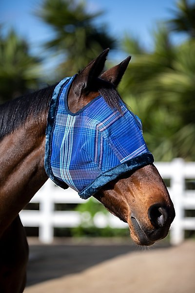 Kensington Protective Products Signature Horse Fly Mask, Kentucky Blue, Average slide 1 of 2