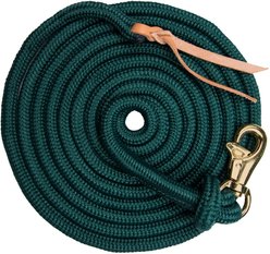 Kensington Protective Products Clinician Horse Training Lead, 15-ft, Hunter