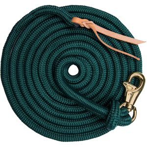 Kensington Protective Products Clinician Horse Training Lead, 15-ft, Hunter