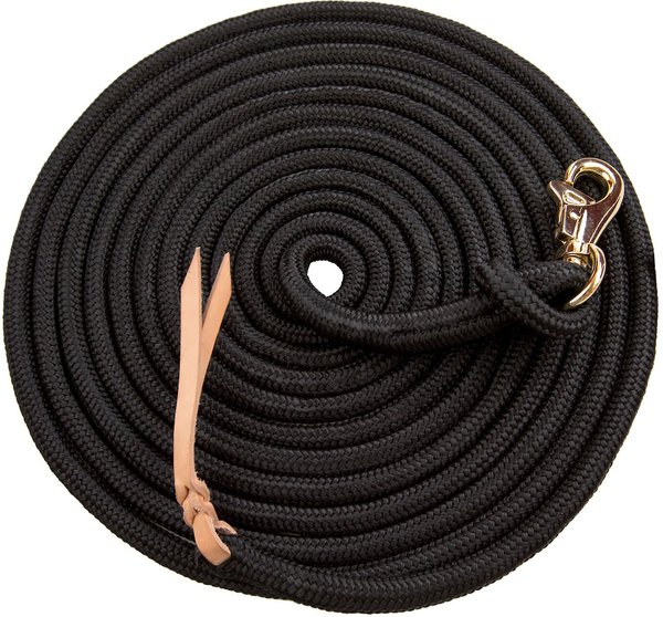 Kensington Protective Products Clinician Horse Training Lead, 25-ft, Black slide 1 of 1