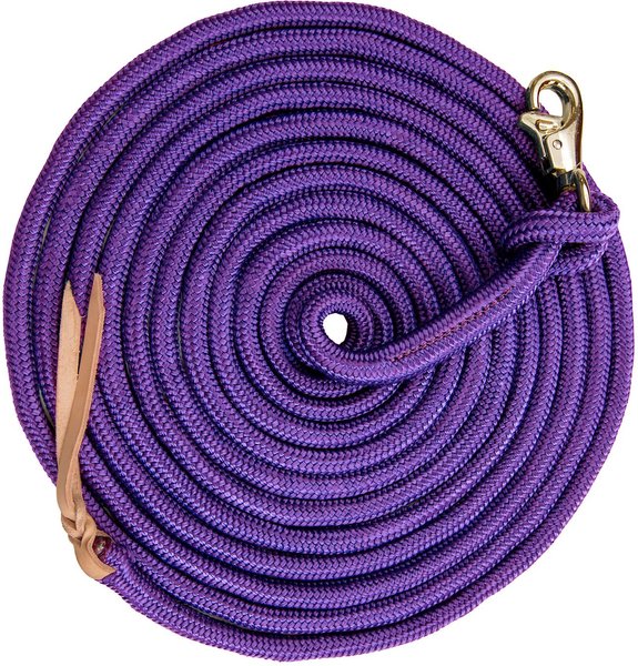 Kensington Protective Products Clinician Horse Training Lead, 25-ft, Purple slide 1 of 1