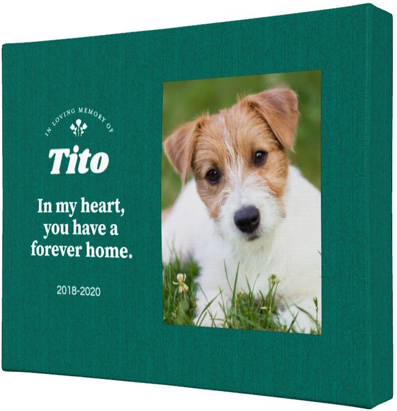Frisco Personalized "Forever Home" Memorial 8 x 10 Gallery-Wrapped Canvas - Landscape slide 1 of 4