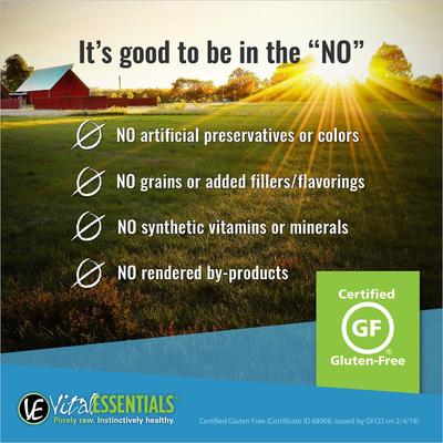 Show full view: Vital Essentials Beef Mini Nibs Grain-Free Freeze-Dried Dog Food, 1-lb bag slide 4 of 7