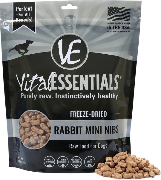 Vital 2025 essentials nibs