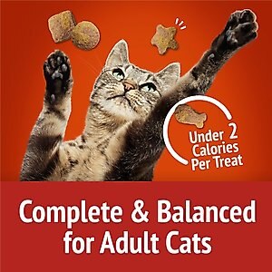 Friskies Party Mix Gravy-licious Chicken & Gravy Flavors Crunchy Cat Treats, 20-oz bag