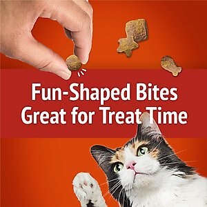 Friskies Party Mix Gravy-licious Chicken & Gravy Flavors Crunchy Cat Treats, 20-oz bag