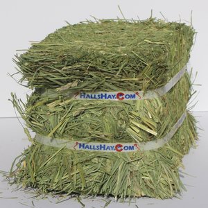 Hall's Hay Orchard Grass Hay Mini-Bale Small Pet Food, 5-lb box