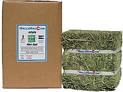 Hall's Hay Alfalfa Mini-Bale Small Pet Food, 6-lb box
