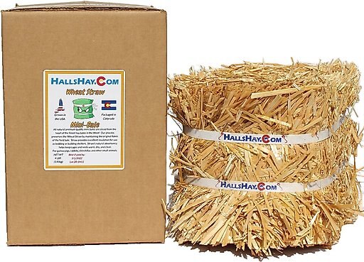 Hall's Hay Wheat Straw Mini-Bale Small Pet Bedding, 4-lb box
