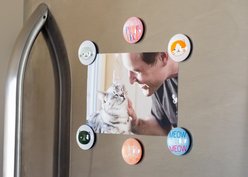 Pearhead Cat Magnets slide 2 of 3