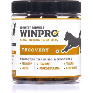 WINPRO Pet Recovery Soft Chew Dog Supplement, 60 count