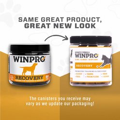 WINPRO Pet Recovery Soft Chew Dog Supplement, 60 count slide 2 of 9