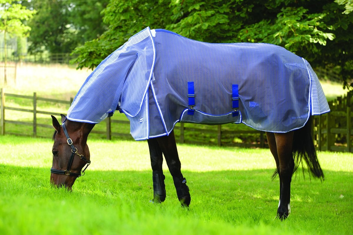 WEATHERBEETA Comfitec Ripshield Plus & Belly Wrap Detach A Neck Horse Blanket, White/Blue, 66in