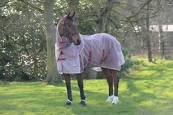 WeatherBeeta Comfitec Ripshield Plus & Belly Wrap Detach A Neck Horse Blanket, White/Burgundy, 78-in