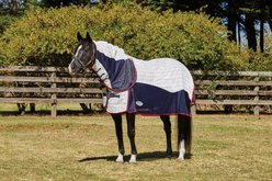 WeatherBeeta Breeze with Surcingle III Combo Neck Horse Blanket, 72-in