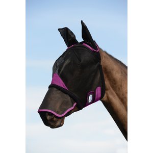 Padded Horse Halter Signature  Adjustable Halter – HorseHaus - Fine  Equestrian Supplies