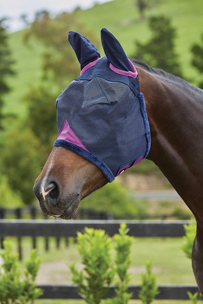 WeatherBeeta Comfitec Durable Mesh Horse Mask With Ears, Navy/Purple, Full slide 1 of 2