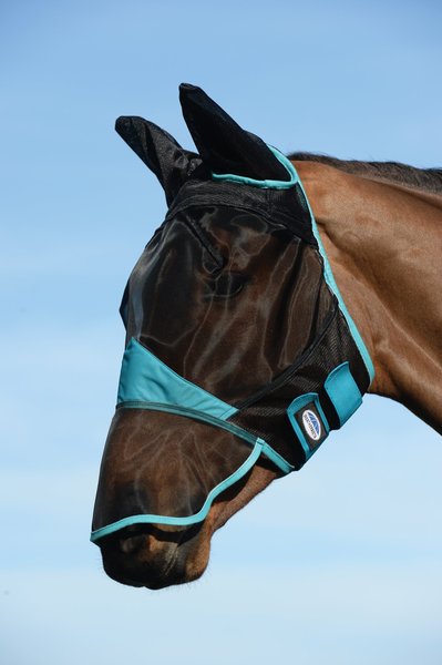 WeatherBeeta Comfitec Fine Mesh Horse Mask with Ears & Nose, Black/Turquoise, Small Pony slide 1 of 2