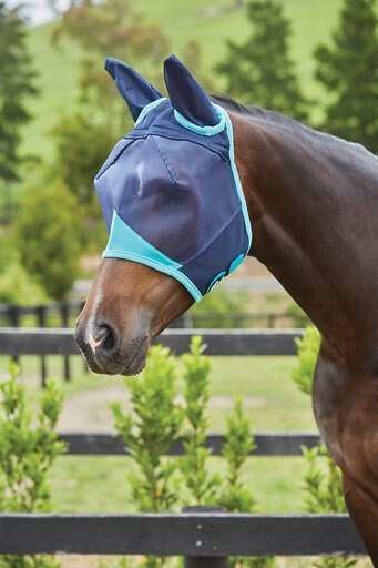 WeatherBeeta Comfitec Fine Mesh Horse Mask with Ears, Navy/Turquoise, Warmblood