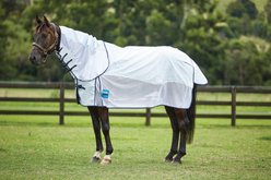 Kool Coat Airstream with Hidden Surcingle III Detach A Neck Horse Blanket, 69-in slide 1 of 2