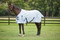Kool Coat Classic with Surcingles III Standard Neck Horse Blanket, 69-in