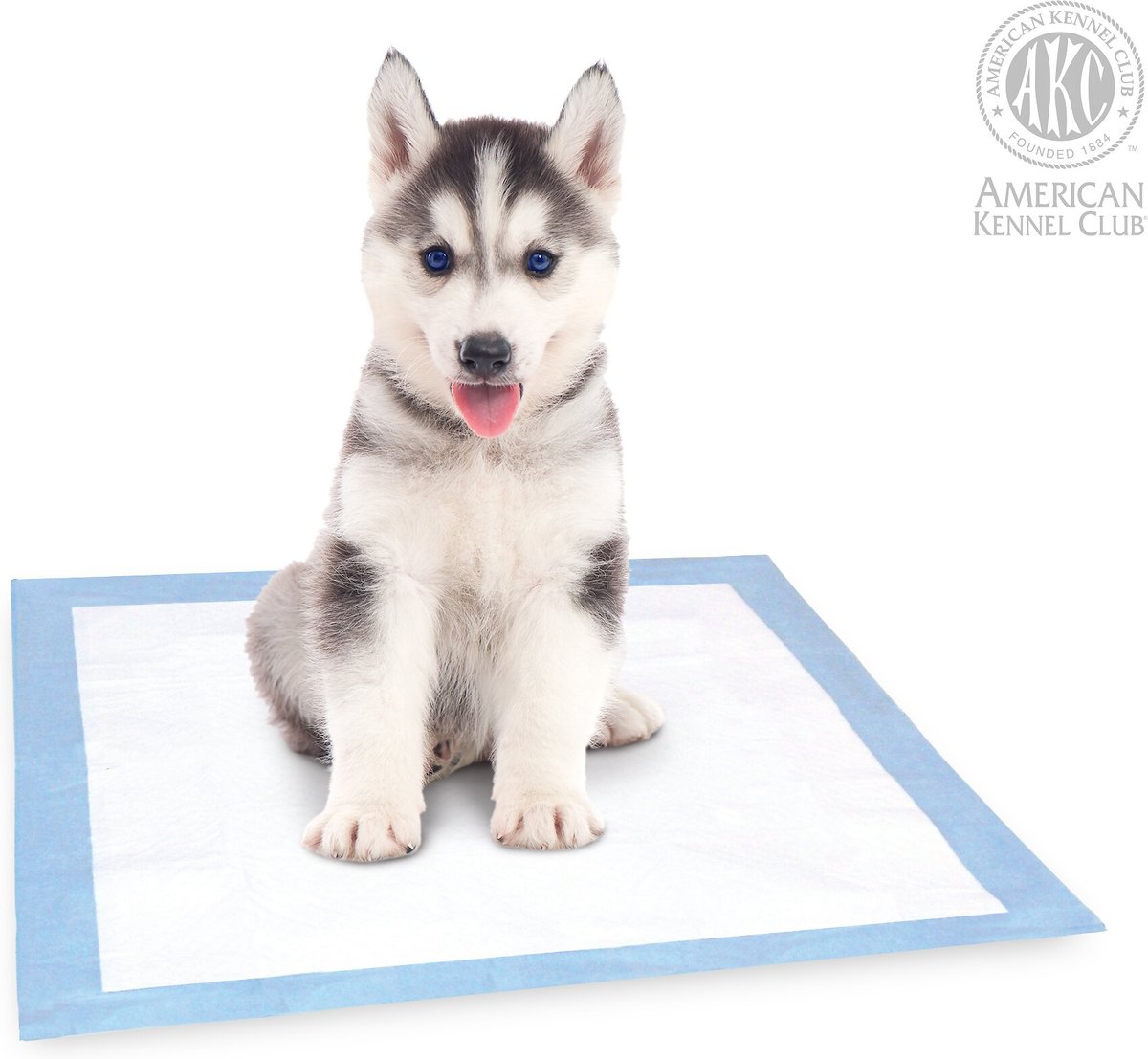 AMERICAN KENNEL CLUB AKC Dog Training Pads, 22 x 22in, 150 count