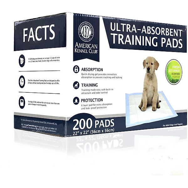 AMERICAN KENNEL CLUB AKC Dog Training Pads, 22 x 22in, 200 count