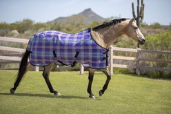 Kensington Protective Products Protective Sheet SureFit Horse Sheet, Lavender Mint, 57-in