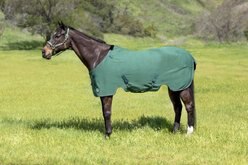 Kensington Protective Products Poly Cotton Stable Sheet Horse Sheet, Hunter, 57-in