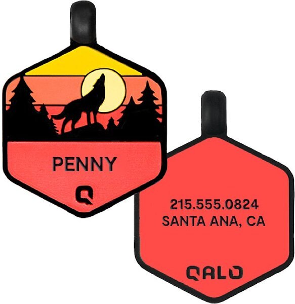 Discontinued QALO Sunrise Wild One Personalized Dog ID Tag