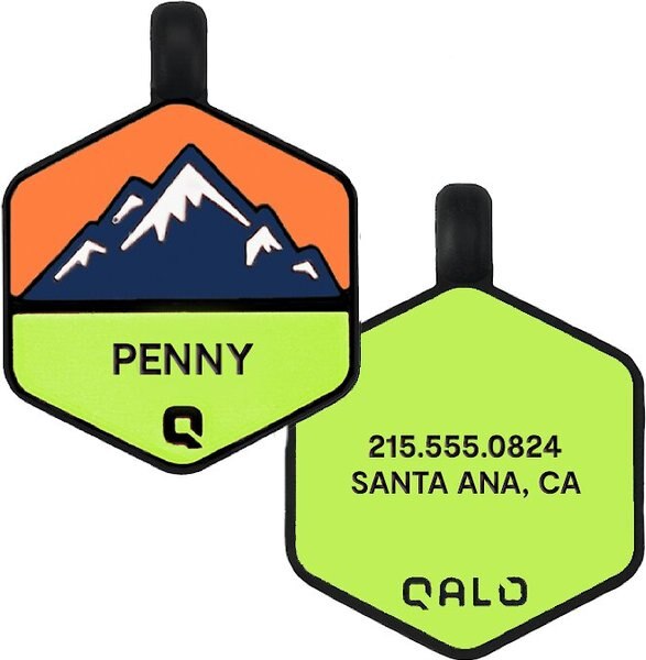 Out of Stock QALO Neon Mountain Personalized Dog ID Tag