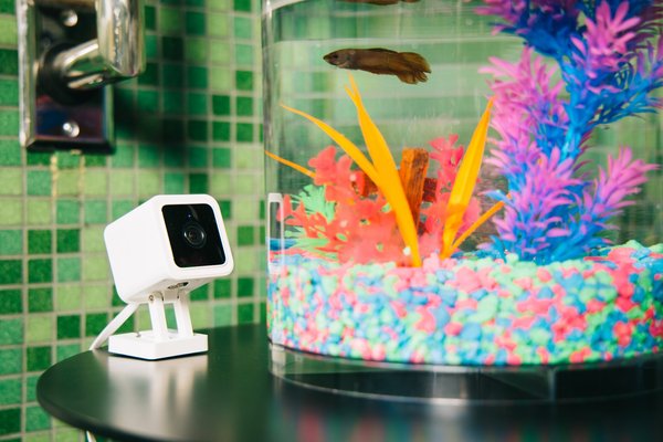 Wyze Cam v3 Pet Camera