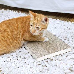Way Basics zBoard Paperboard Simple Scratcher Cat Toy, White